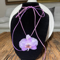 Purple Orchid