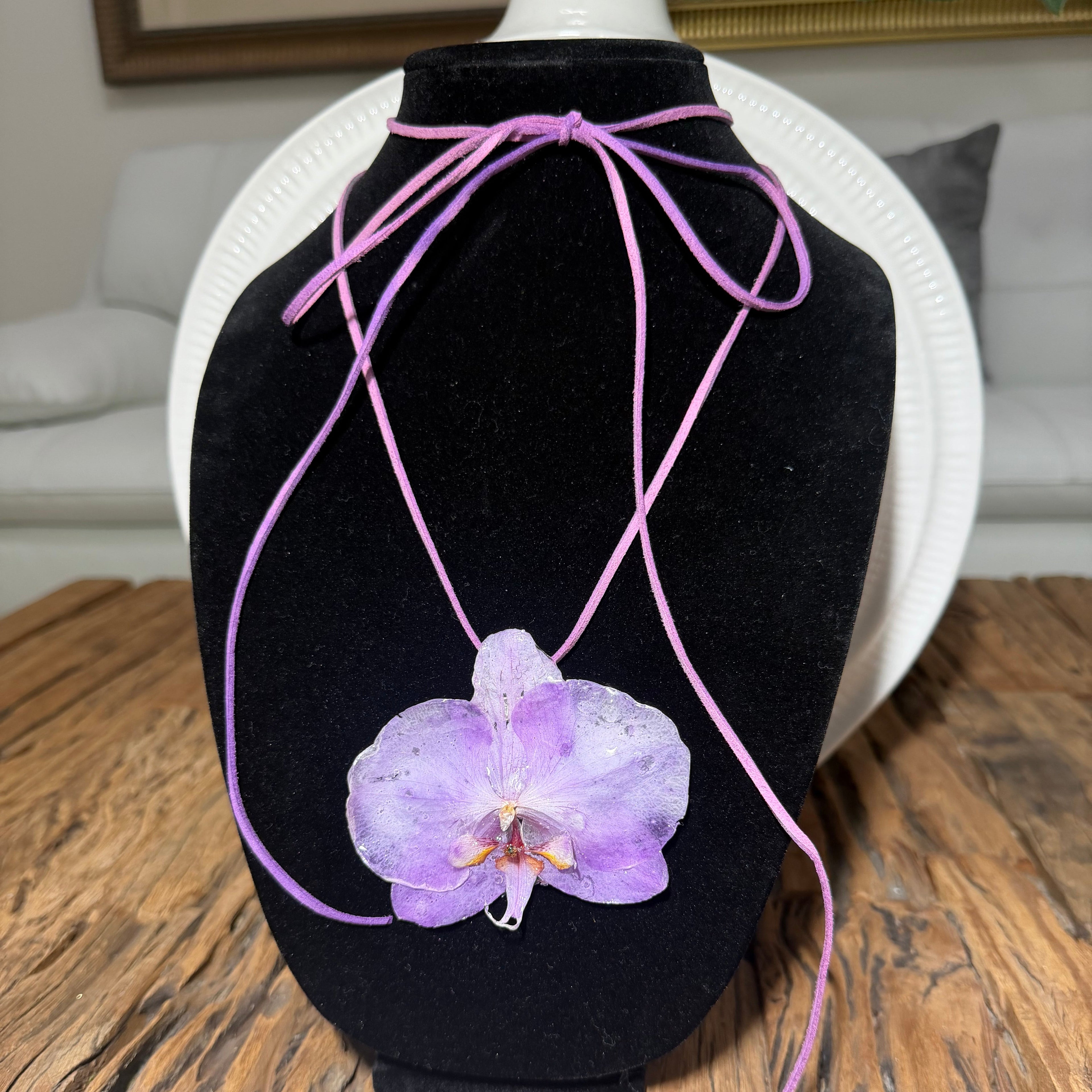 Purple Orchid